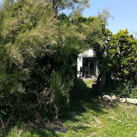 Villa 4. Ty Gevred A 500M De L'Ocean Saint-Jean-Trolimon Esterno foto