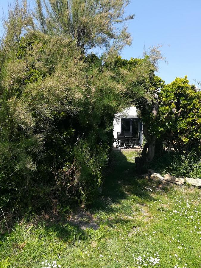 Villa 4. Ty Gevred A 500M De L'Ocean Saint-Jean-Trolimon Esterno foto